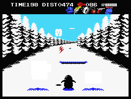 PENGUIN_0014_s