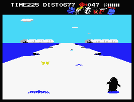 PENGUIN_0020_s
