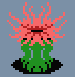 anemone