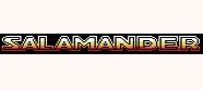 Salamander